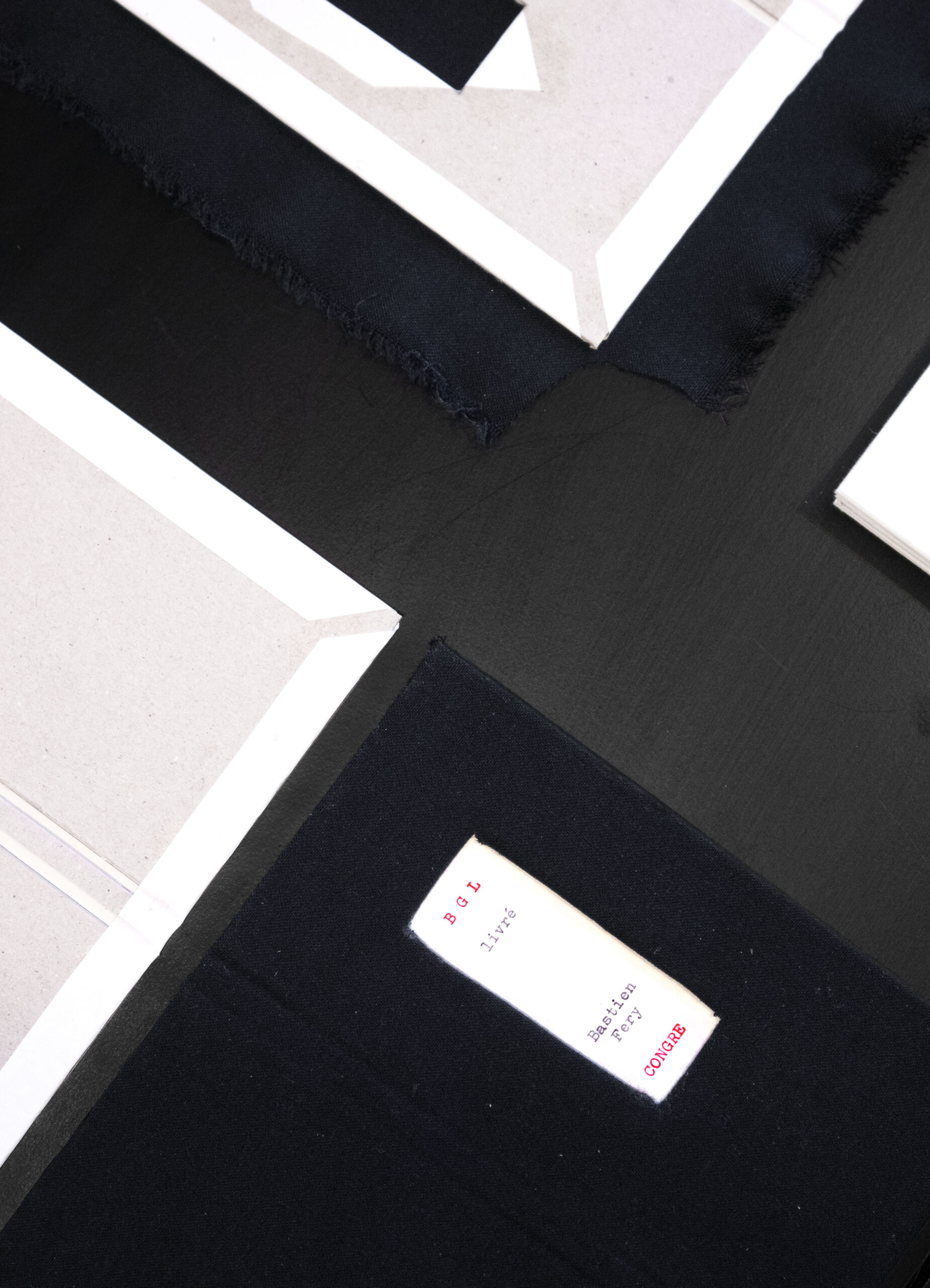 BGL livré, texte intégral – Image 2